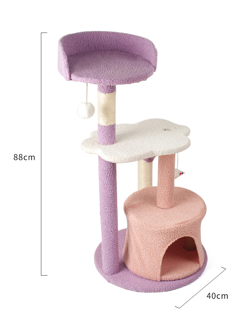 Starry Upgraded Model